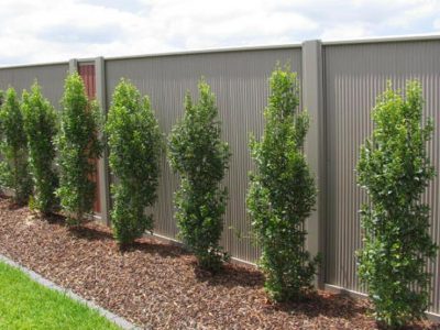 fencing colorbond sydney 04